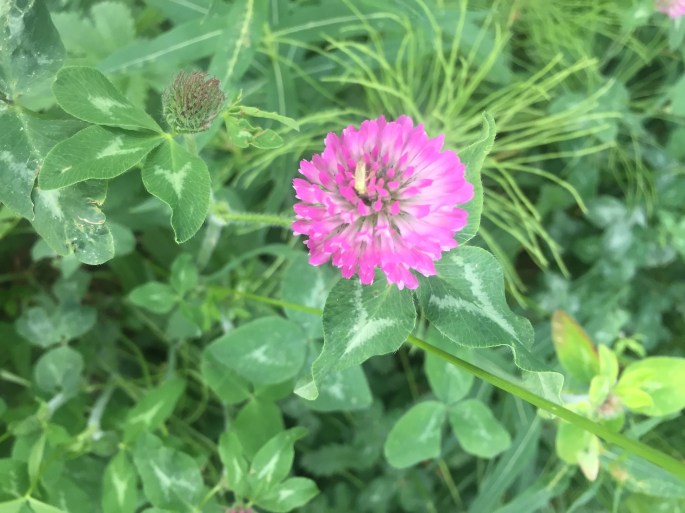 012669904aafef1a794865472f983a2f1e30917c6a